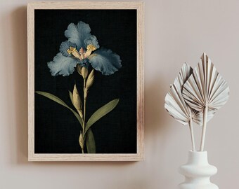 May include: A framed print featuring a detailed illustration of a blue iris flower against a dark background. The flower has delicate petals with yellow accents, green leaves, and a light wooden frame. The artwork evokes a vintage botanical aesthetic.