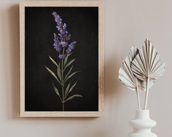 Könnte beinhalten: Ein gerahmter botanischer Druck mit einer Lavendel-Illustration. Das Kunstwerk zeigt einen Zweig mit lila Lavendelblüten und grünen Blättern vor einem schwarzen Hintergrund. Der Rahmen besteht aus hellem Holz.