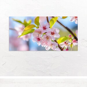 Delicati fiori di ciliegio in rosa – quadro floreale per il relax come decorazione murale floreale su Alu-Dibond