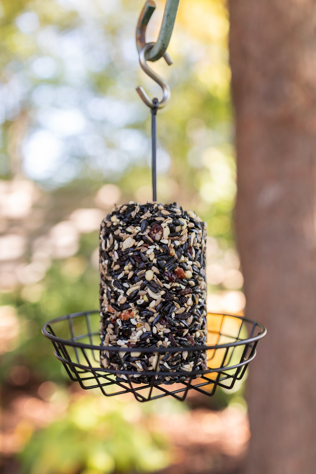 Freshly Made Wild Bird Seed Cylinder Full of Tree Nuts, Berries, and
