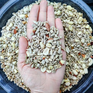 May include: A hand holding a mix of sunflower seeds and peanuts, with more seeds and nuts in a dark bowl. The seeds are light tan and white, with some reddish-brown peanuts. The bowl is black and the background is dark.