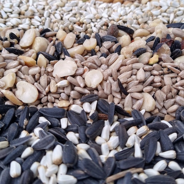 Premium Backyard Bird Seed Blends - No Filler - 5lb Bags