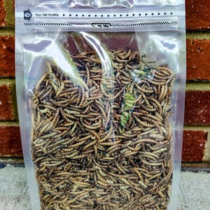 May include: A clear plastic bag filled with dried mealworms. The bag has a zip closure and the text "PULL TAB TO OPEN". The mealworms are a light brown color and densely packed.