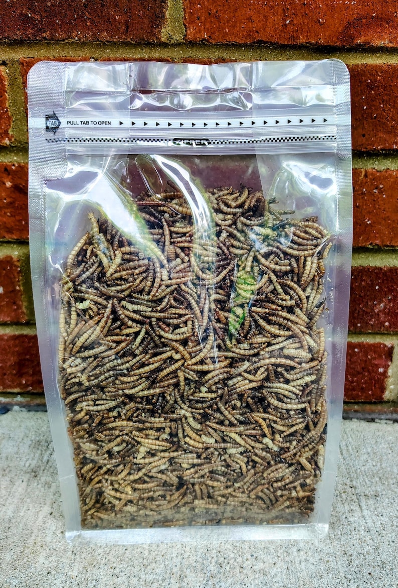May include: A clear plastic bag filled with dried mealworms. The bag has a zip closure and the text "PULL TAB TO OPEN". The mealworms are a light brown color and densely packed.