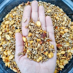 May include: A handful of mixed seeds and nuts, including sunflower seeds and peanuts, are held in an open hand. The seeds and nuts are a mix of tan, brown, and yellow, and are in a clear plastic bowl.