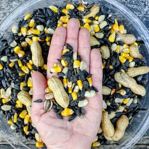 Squirrel Snack - Resealable Bag