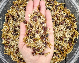 Robin Snack - Gourmet Birdseed Blend - Contains Dried Mealworms - No Mess