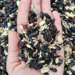 May include: A handful of birdseed mix, featuring black sunflower seeds, tan seeds, peanuts, and dried raisins. The seeds are held in an open hand, with the background filled with more birdseed.