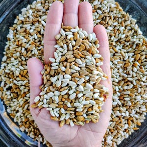May include: A clear glass bowl filled with a mix of sunflower seeds. A hand is cupped, holding a portion of the seeds, showcasing their white, tan, and brown colors. The seeds are a healthy snack.