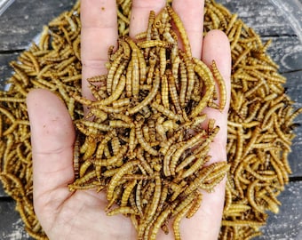 Dried Mealworms - Resealable Bag