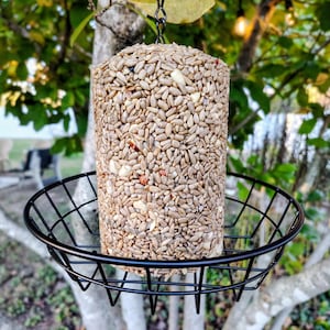May include: A cylindrical bird feeder filled with sunflower seeds and peanuts, suspended by a black chain. The feeder sits in a black wire basket, designed to catch any falling seeds. The feeder is hanging from a tree branch, with a blurred background of green leaves.