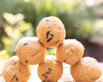 Fresh Made-to-Order 2" Suet Balls - 1 Dozen - Fits in Bird Buddy