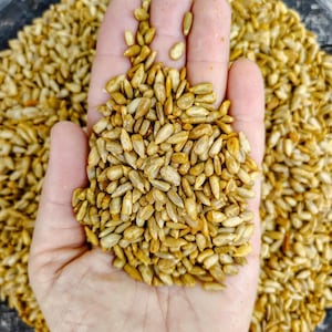 May include: A close-up shot of a hand holding a pile of sunflower seeds. The seeds are golden brown and have a slightly elongated shape. The seeds are in a clear glass bowl.
