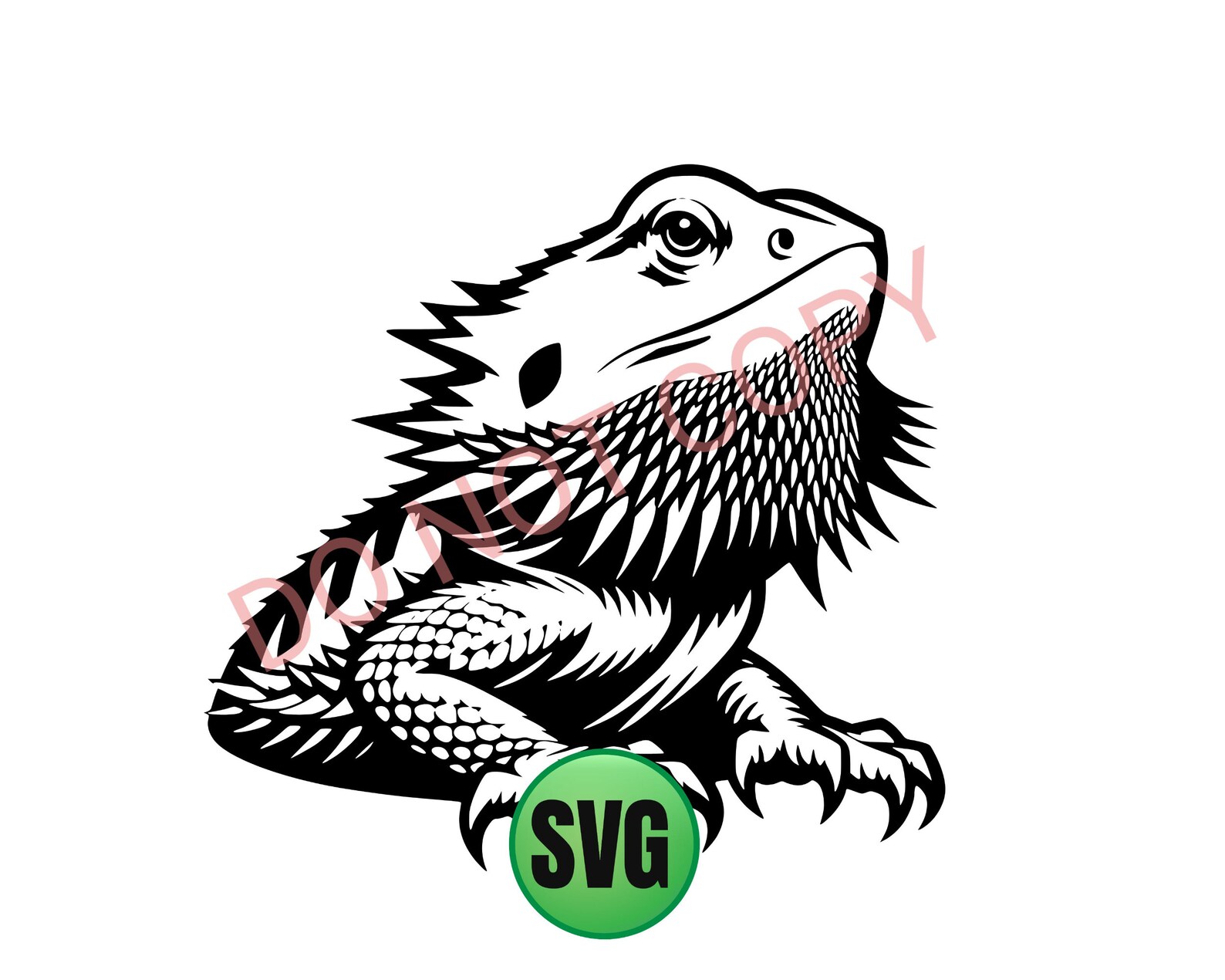 CUTE BEARDED DRAGON Svg T-shirt Wall Art Decal Sticker Vinyl vector