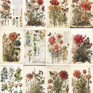Papier de riz botanique pour découpage au format carte, 20 x 25 cm (8 x 10,5 po.) – pour création de cartes de scrapbooking