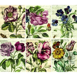Papier de riz à thème botanique - 6 x différentes images imprimées de papier de mûrier 30 g/m²