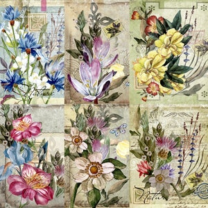 Cartão postal floral em papel de arroz - 6 imagens diferentes impressas de papel de amoreira 30 g/m²