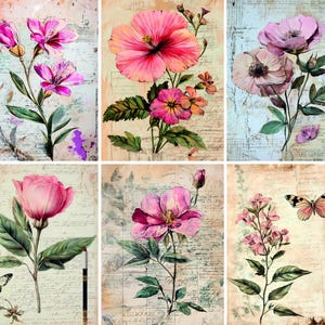 Carta di riso Blooms - 6 diverse immagini stampate su carta di gelso 30 g/m²