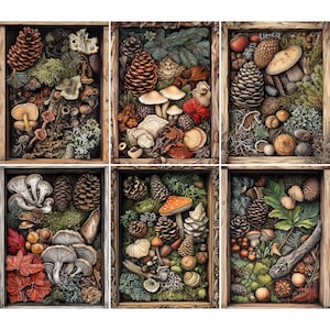 Carta di riso Forest Treasures - 6 diverse immagini stampate su carta di gelso 30 g/m²