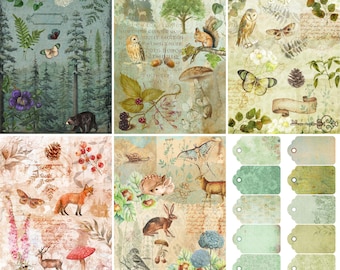 Woodland Rice Paper, 8 x 10,5 inch - für Decoupage Scrapbooking Craft