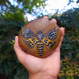 Death&#39;s-Head Moth Rock Painting