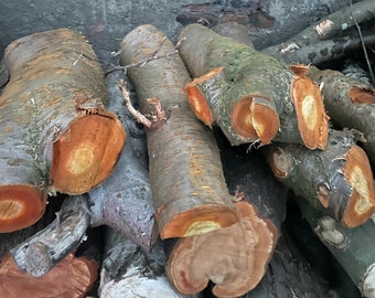 Large Logs of Freshly Cut Cherry Wood - price is per kilo