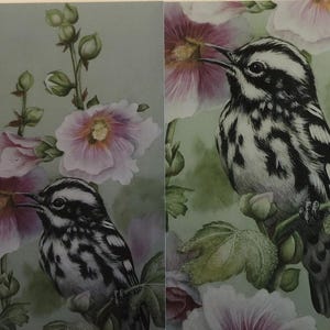 May include: Two black and white birds perched on a branch with pink flowers. The birds have black and white markings and are sitting on a branch with green leaves. The background is a soft green.