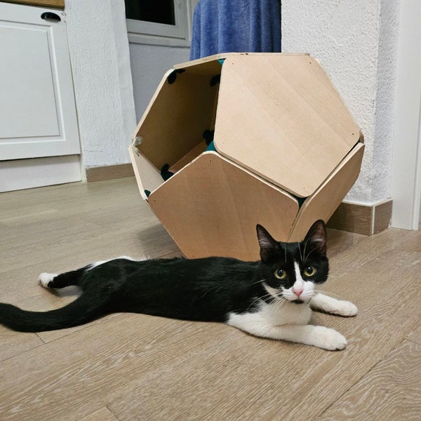 CAT DOdecaedro 3D