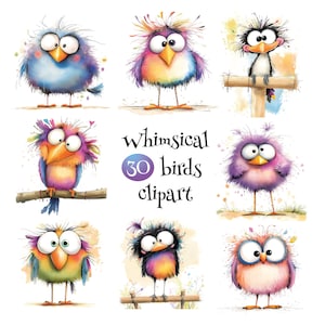 May include: A collection of nine whimsical bird illustrations in various colors, including blue, purple, and yellow. The birds have large eyes and expressive features. Text reads "Whimsical 30 birds clipart."