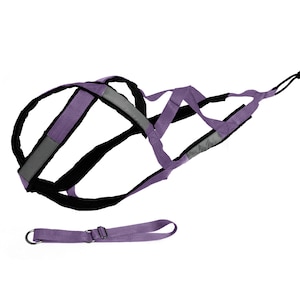 オールシーズン対応の X-Back 犬用ハーネス、そりスポーツ用、ハスキー、マラミュート、サモエド用犬用牽引ギア - カニクロス & バイクジョリング