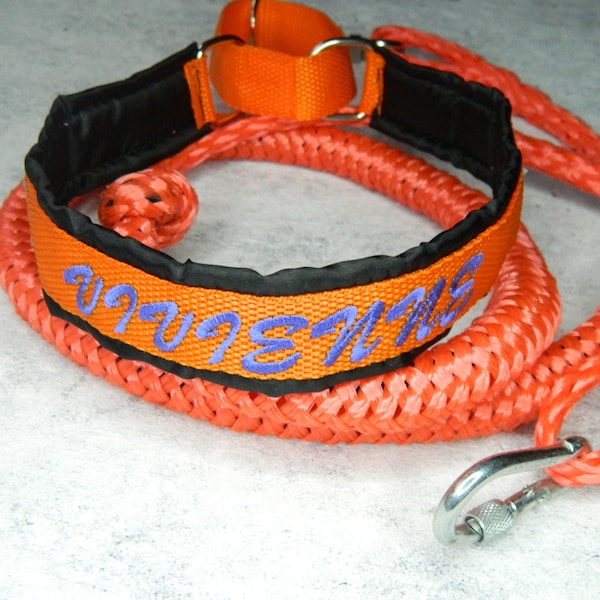 Titolo: Set collare per cani ricamato personalizzato e guinzaglio elastico per razze attive - Ideale per l'addestramento e l'avventura