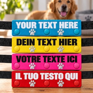 Op de afbeelding: Vier rechthoekige hondenhalsband-accessoires in blauw, geel, roze en rood. Elk item bevat zwarte of witte tekst, drie ronde knoppen en zilveren pootafdrukken. De blauwe toont YOUR TEXT HERE, de gele DEIN TEXT HIER, de roze VOTRE TEXTE ICI en de rode IL TUO TESTO QUI.