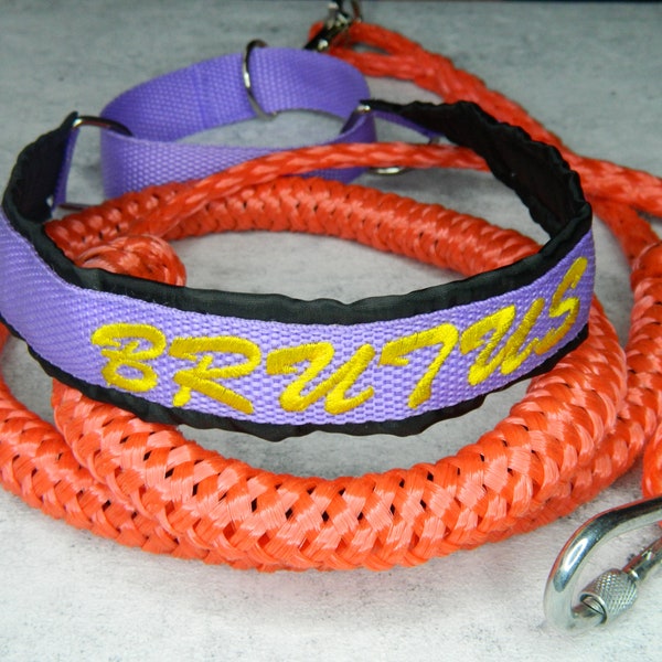 Title: Custom Nylon Dog Collar & Bungee Leash – Personalized Embroidery for Winter Sports and Active Dog Training