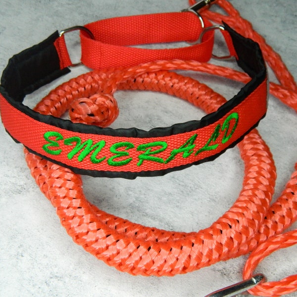 Personalized Nylon Dog Collar & Bungee Leash Set - Perfect for Training and Sports like Skijoring and Dog Running