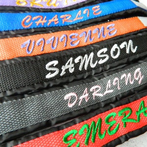 Personalized Embroidery on Dog Collar, sled dog harness or dog leash with Name/Phone - Nylon Adjustable, for Active Breeds & Training