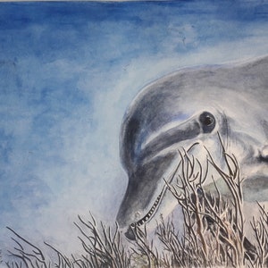 Dipinto originale ad acquerello di un delfino in fondo al mare, che osserva con curiosità il campo di corallo
