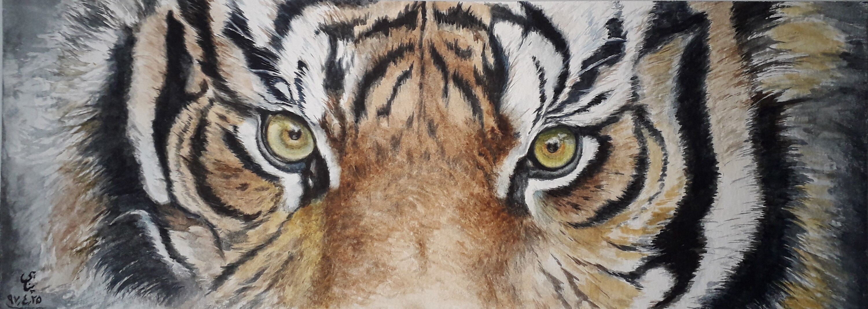 Original watercolor painting of the eyes of a Tiger in focus.