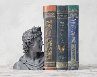 Buchstütze Griechische Statue - Skulptur Deko Figur, Elegante Bücherstütze für Wohnzimmer, Bücher Deko zum Regal Dekorieren