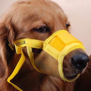 Personalized Pet Muzzle with Custom Name Embroidered – Adjustable Polyester Dog Muzzle for Training & Safety