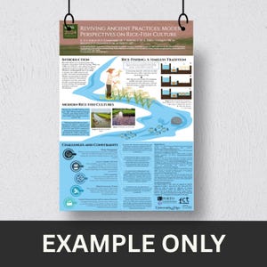 May include: A poster titled "Reviving Ancient Practices: Modern Perspectives on Rice-Fish Culture" with the year 2024 at the top. The poster includes illustrations, text, and a diagram about rice-fish farming. The bottom of the poster reads "EXAMPLE ONLY".