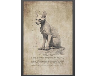 Sphinx Cat Art Print - Framed