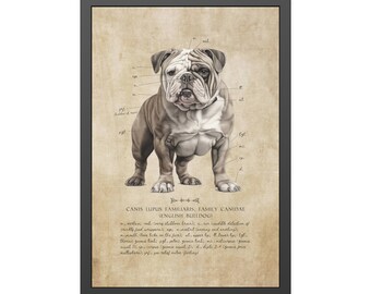 English Bulldog Art Print - Framed