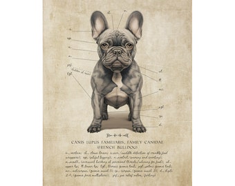 French Bulldog Art Print - Unframed