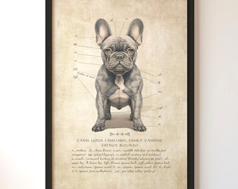 French Bulldog Art Print - Framed