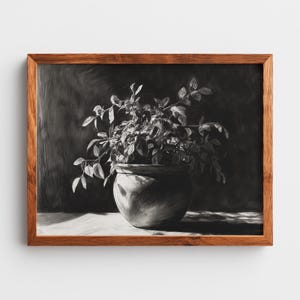 Könnte beinhalten: Eine Schwarz-Weiß-Kohlezeichnung einer Topfpflanze mit üppigem grünen Laub. Die Pflanze befindet sich in einem runden, strukturierten Topf. Das Kunstwerk ist in einem Naturholzrahmen gerahmt und schafft eine klassische und elegante Ästhetik.