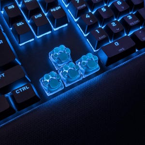May include: Close-up of a black mechanical keyboard with blue backlighting. Several keycaps are replaced with transparent paw print designs. The keyboard keys include Ctrl, Del, Ins, and number keys.