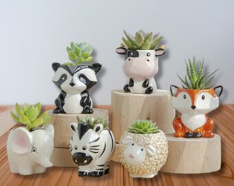 Cute Animal Succulent Planter, Animal Statue Vase, Cow Raccoon Elephant Fox Zebra Sheep Vases, Cute Plant Table Decor, Plant Pot Gift
