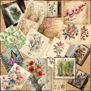 Peut inclure: Une collection de carnets, journaux et tirages d'art sur le thème floral. L'image présente diverses illustrations botaniques, notamment des roses, des coquelicots et des fleurs sauvages. Certains articles sont reliés en spirale, d'autres sont des tirages simples. La palette de couleurs comprend des pastels doux et des tons vintage.