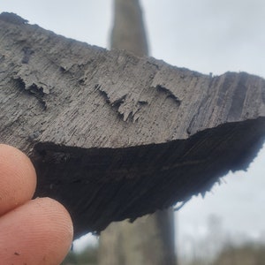 Irish bog oak