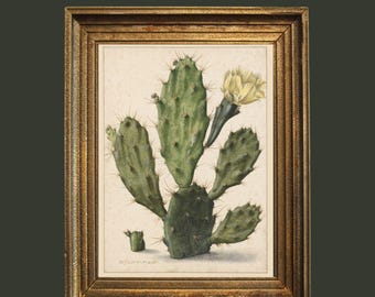 Vintage Cactus Flower Botanical Print: Desert Wall Art (Digital Download)
